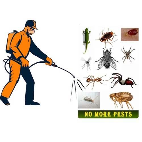 Beyond Bugs: A Comprehensive Guide to Safe Pest Control